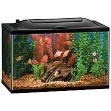 Fish Tanks Aquariums Petsmart In 2020 Aquarium Kit Fresh Water Fish Tank Fish Tank