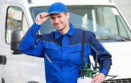 Our experts are trained to treat dozens of bugs. Pest Control Essex 24 Hour Reliable Pest Control In Essex