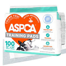 The litter box will be a more obvious difference than the carpet for him. The 10 Best Puppy Pads Of 2021