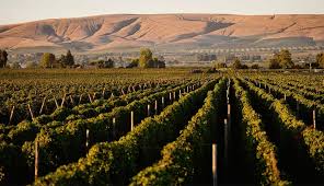 I thought we would take rt. 5 Reasons To Take A Craft Beverage Tour In Yakima Wa Seattle Magazine