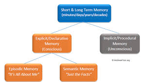 Short Term Memory And Long Term Memory Memoryhealthcheck