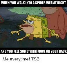 When You Walk Into A Spider Web At Night And You Feel Something Move On Your Back Me Everytime Tsb Meme On Me Me