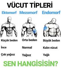 Vucut Tipiniz Nedir Ogrenmek Ister Misiniz Fitness Programlari Fitness Vucut Gelistirme