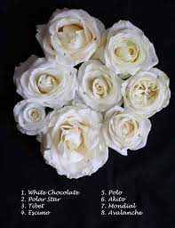 Flirty Fleurs The Florist Blog Inspiration For Floral Designers Rose Varieties White Roses Rose