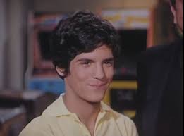Albert Ingalls Matthew Laborteaux Little House Michael Landon Albert
