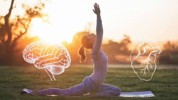 Lifestyle & Mind-Body