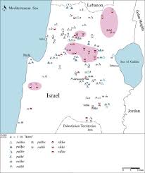 I'm all in, i'd better go to bed now. 1 Vowels In Atlas Of The Arabic Dialects Of Galilee Israel