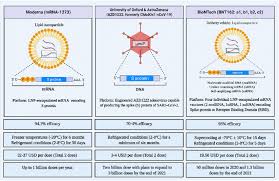 Carol smiljan/nurphoto via getty images. Comparison Of Covid 19 Vaccine Candidates Manufactured By Download Scientific Diagram