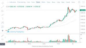 parabolic bitcoin price smashes 13 000 the money behind