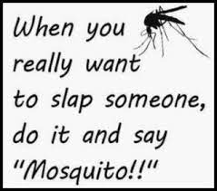 And in most of the occasions, you don't need hundreds of them to make a point. When You Really Want To Slap Someone Do It And Say Mosquito Http Www Pinterestbest Net Dunkin Donuts 500 Gift Card Funny Quotes Quotes Sayings