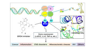 Drug Discovery Targeting Bromodomain-Containing Protein 4 | Journal of  Medicinal Chemistry