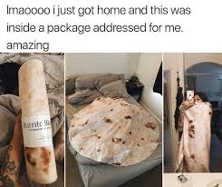 Burrito Blanket Ofcoursethatsathing Burritos Memes Food