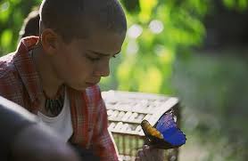 Das Geheimnis des blauen Schmetterlings [Alemania] [DVD]: Amazon.es: Hurt,  William, Bussieres, Pascale, Donato, Marc, Pool, Lea, Hurt, William, ...