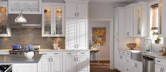 Collection Mckinley Species Painted Color Linen Shaker Style Cabinets Glass Cabinet Doors Built In Cabinets