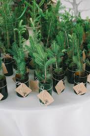 Tree Themed Wedding Tree Wedding Favors Plant Wedding Favors Tree Themed Wedding