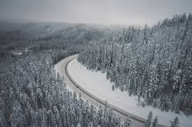 4506485 Forest Snow Landscape Road Nature Mist Usa Mt Hood National Forest Wallpaper Mocah Org