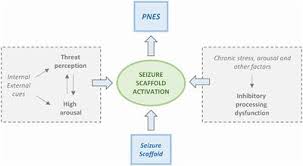 Some childhood epilepsy syndromes are as follows: Frontiers Psychogenic Non Epileptic Seizures And Pseudo Refractory Epilepsy A Management Challenge Neurology