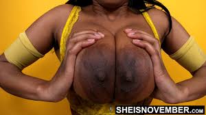 TW Pornstars - SHEISNOVEMBER (Lashawn Mosley). Twitter. Ebony Teen Big  Nipples Black Titties & Areolas Sheisnovember. 9:30 PM - 23 Aug 2021