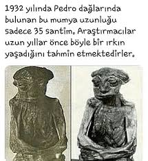 Gamze Balaman Adli Kullanicinin Bilgi Panosundaki Pin Bilgi Karti Gizli Bilgi Gercekler