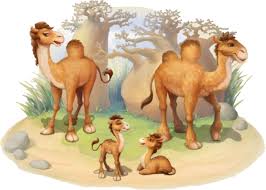The materials made from natural products like clay, sand, and rocks are natural building materials. Camel Township Wiki Fandom