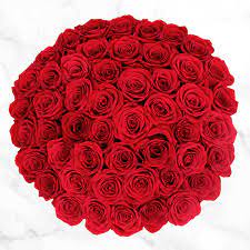 50 Stem Red Roses Costco