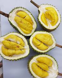 #nanieymasak musim durian ni ramai yang buay serawa durian atau bubur durian. 10 Jenis Durian Paling Populer Ini Wajib Masuk List Kulineranmu