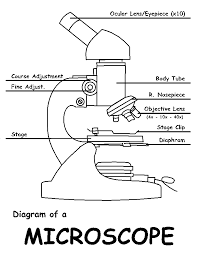 The live, neutral and earth wires. 30 Labeled Diagram Of A Microscope Free Wiring Diagram Source