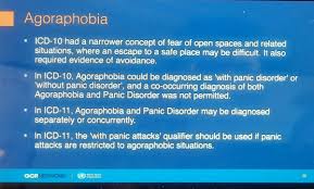 Image result for Agoraphobic Avoidance