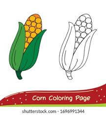 You can store the whole cobs (including there are 13 references cited in this article, which can be found at the bottom of the page. Corn Coloring Page Coloring Fruits Vegetables Stock Vector Royalty Free 1696991344