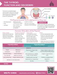 Image result for Thyroid Function Summary