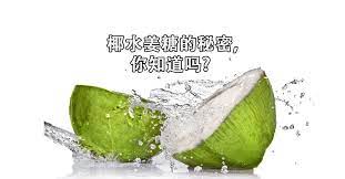 椰水对糖尿病的好处原来这么多 不知道真是走宝了 gerson therapy health and wellbeing healthy