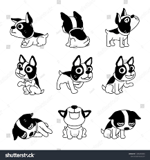 Black And White Boston Terrier Cartoon Vector Cartoon Character Cute Boston Terrier Dog Poses For Design Boston Terrier Cartoon Drawings Dog Icon