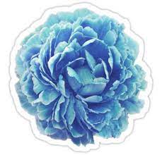 Cinderella Blue Flower Sticker By Royal Sass In 2021 Floral Stickers Blue Flower Wallpaper Tumblr Stickers