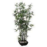 Open up to our wide range of indoor and outdoor plants (including succulents and orchids, real or artificial) and say hello to our plant pots! Artificial Flowers Plants Canadian Tire Artificial Flowers And Plants Sansevieria Plant Lavender Plant