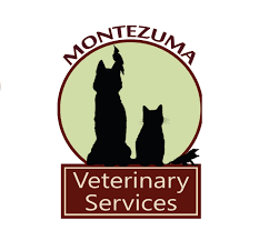 The best care for your best friend. Prescott Valley Pet Clinic Home Facebook