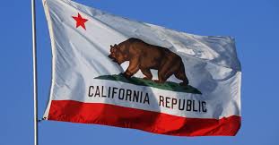The first official version of the bear flag was adopted by the california state legislature and signed into law by governor hiram. Fact Check Bearing The Flag