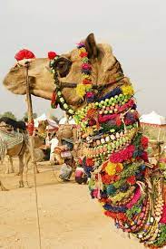 It allows you to traverse the sturdy region of the magnanimous indian desert of sahara. Pin On Fav Places Spaces