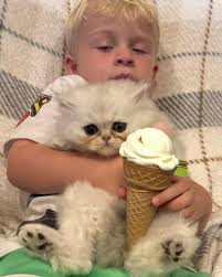 𝙕𝙀𝙎𝙏𝙔 𝙇𝙀𝙈𝙊𝙉 𝙂𝘼𝙍𝙇𝙄𝘾 𝙎𝘼𝙐𝘾𝙀 𝘐𝘯𝘨𝘳𝘦𝘥𝘪𝘦𝘯𝘵𝘴: • 1/4  cup olive oil • 2 garlic cloves, minced • Juice of 1 lemon • Zest of 1  lemon • 1 tsp Dijon mustard • Salt