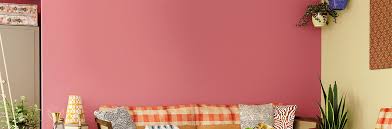 Anti Fungal Shield Paint Asian Paints