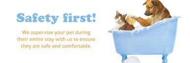 Therefore a micro bubble baths keep your skin. Dog Grooming Cat Grooming Bubbles Pet Spa