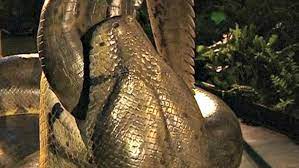 We did not find results for: Titanoboa Ular Terbesar Di Dunia Ini Hidup Lagi Global Liputan6 Com