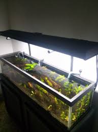 Lighting is one of the most important of all building systems, and we offer buyers thousands products of lights to choose from including modern, indoor, outdoor. Diy High End Planted Tank Balleronabudget 14 Steps With Pictures Instructables