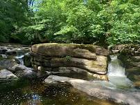 Wellbeing Walk: Poems and Power