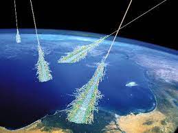 All carbon atoms have a nucleus containing six protons. What Is Radiocarbon Dating Earth Earthsky