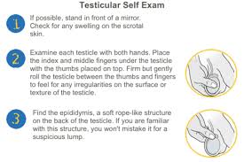 The lump will usually form on the front or side of a testicle. Testicular Self Exam Young Men S Health
