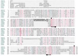 Naina apare exact cand intreaga familie isi jeleste durerea, mata gi o intreaba de unde le cunoaste pe roli si simar iar aceasta nu stie ce sa raspunda, la un momentdat simar ii spune ca este prietena ei si este rugata sa stea alaturi de ei insa refuza politicos spunand ca o sa revina in alta zi. Myristoyl Coa Protein N Myristoyltransferase An Essential Enzyme And Potential Drug Target In Kinetoplastid Parasites Journal Of Biological Chemistry