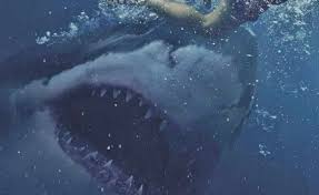 Click on any of the 2021 movie posters images for complete information about each movie in theaters in 2021. First Footage From This Summer S Next Big Shark Movie Great White