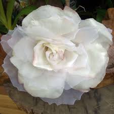 Check spelling or type a new query. Charles Lubin Company Inc Silk Flowers