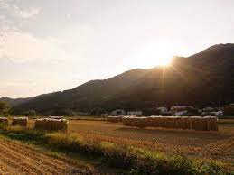 兵庫県姫路市、こばファーム】 | 農業デザイン 1次産業をデザインで支援する ファームステッド