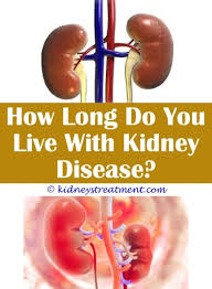 Pin On What Is Kidney Disease